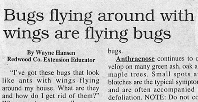 "Kukci koji lete okolo s krilima su leteći kukci"