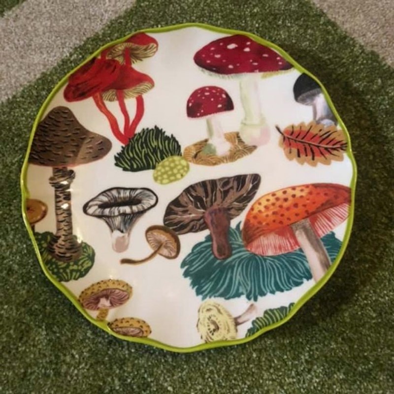 "Opsjednuta sam ovim tanjurom, platila sam ga manje od dolara!"