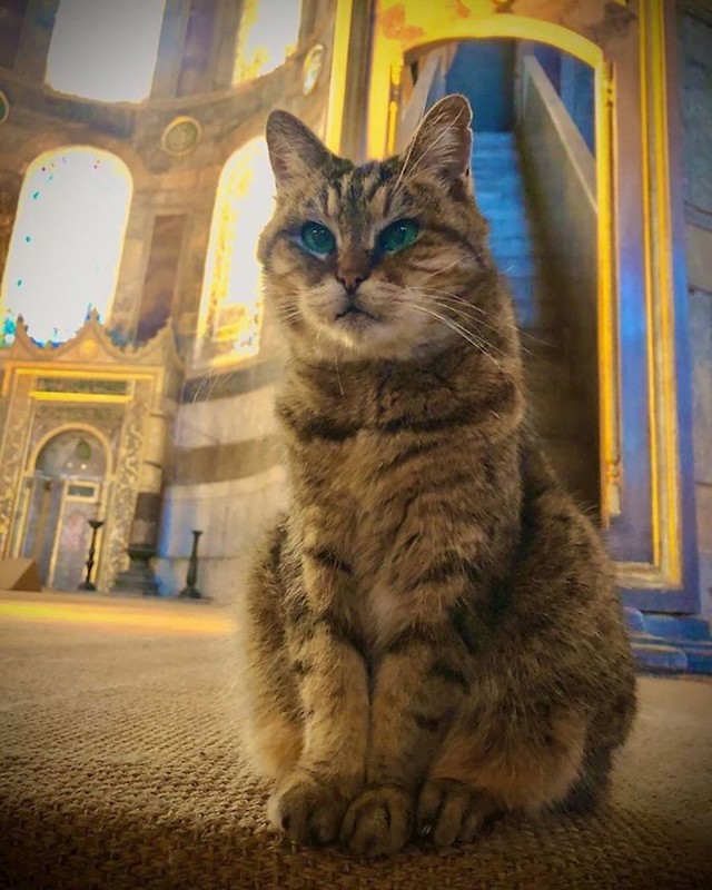 #18