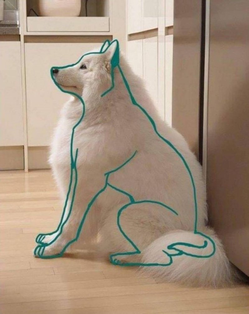 Pokazao je kako bi mu pas izgledao bez dlake...