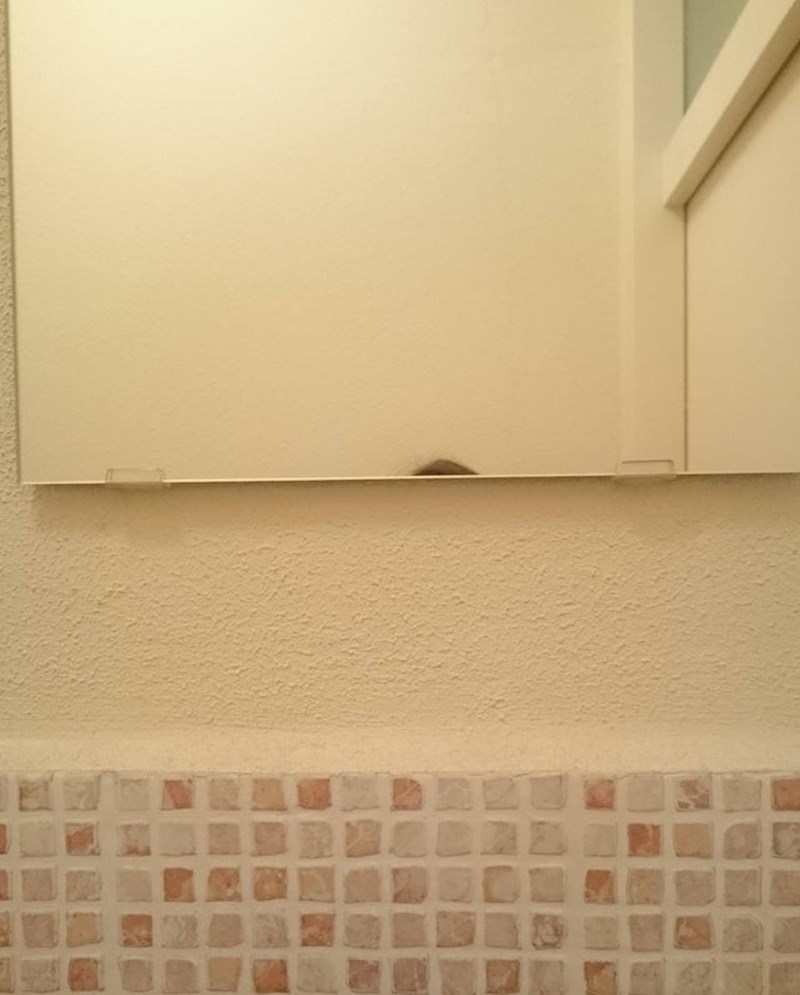 Korištenje ogledala ponekad postaje nemoguća misija.