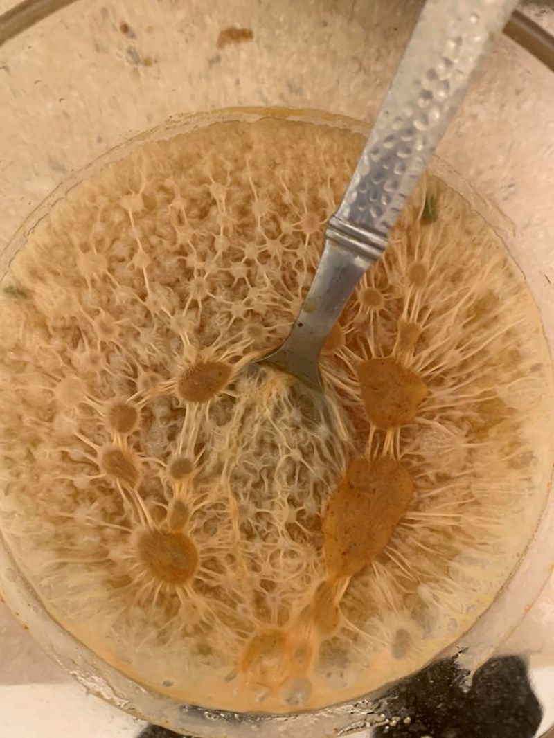 Čaša je dugo stajala prljava na sobnoj temperaturi. Ovo gore je zapravo sloj bakterija.