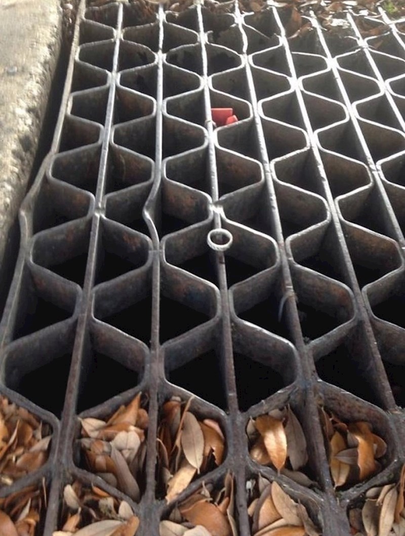 "Moja prijateljica je umalo ostala bez svog vjenčanog prstena. Rešetka je imala milosti."