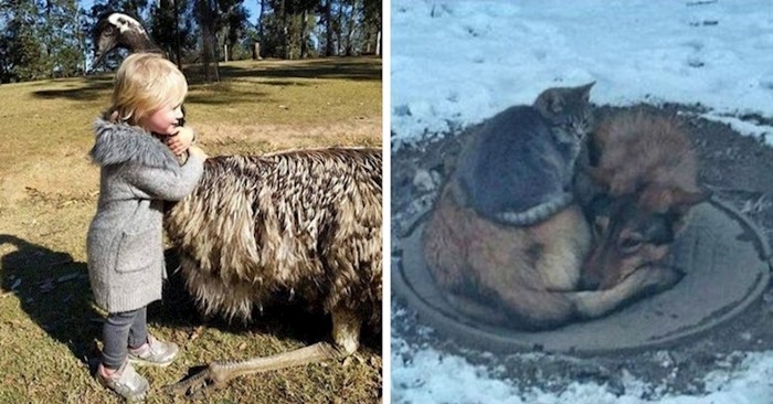 40 prekrasnih primjera koji vrijede puno više od obične fotografije