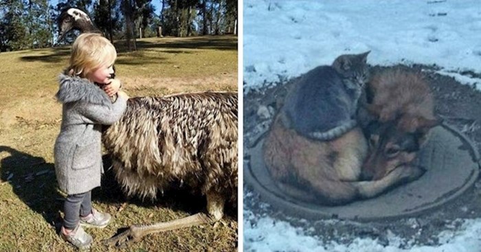 40 prekrasnih primjera koji vrijede puno više od obične fotografije