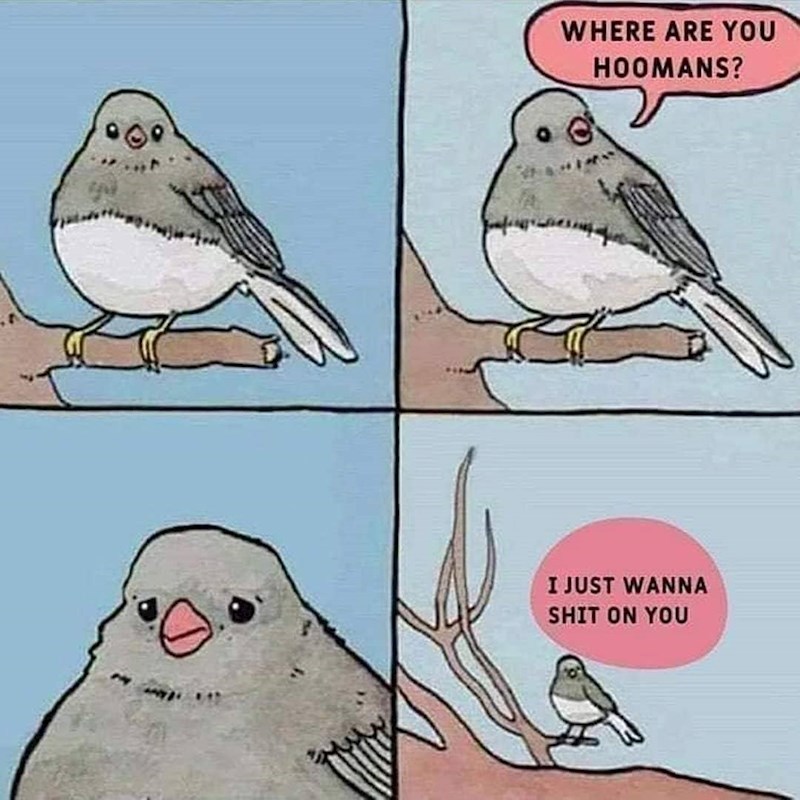 Ne zaboravimo kome je u ovoj krizi najteže - pticama.