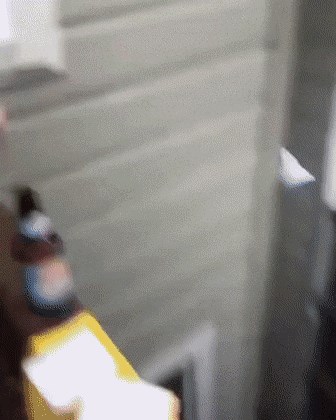 Uzeo je listić sira pa izveo nešto što je zadivilo njegove prijatelje na roštiljanju