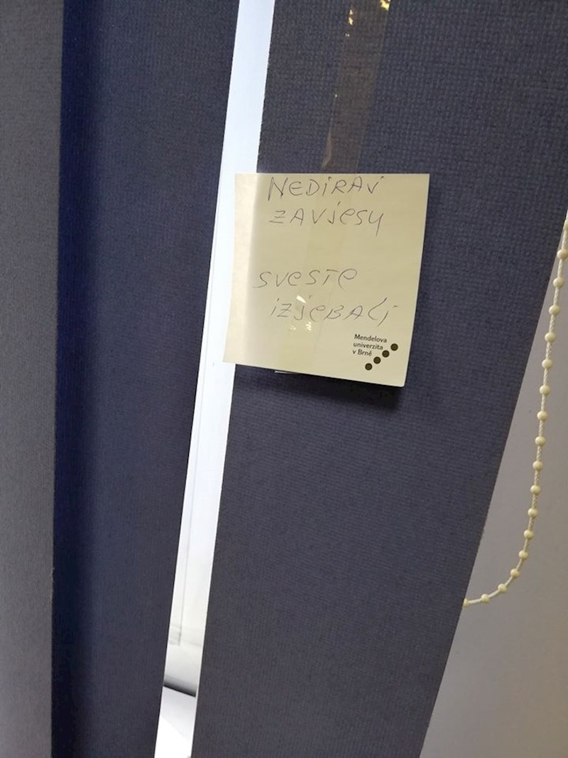 Evo što je ostalima poručila: