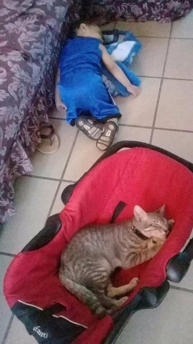 "Zamijenile su se za krevete..."