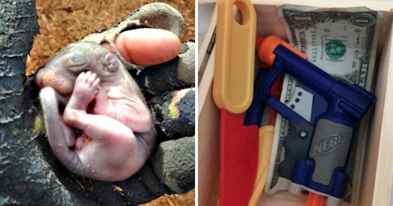 17 ljudi podijelilo je slike svojih najneočekivanijih pronalazaka