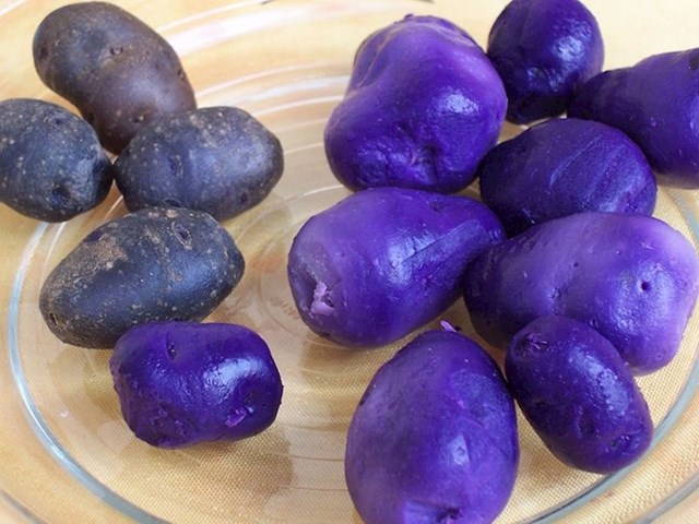Jeste li znali da postoje tisuće vrsta krumpira? Ovaj ljubičasti je iz Perua.