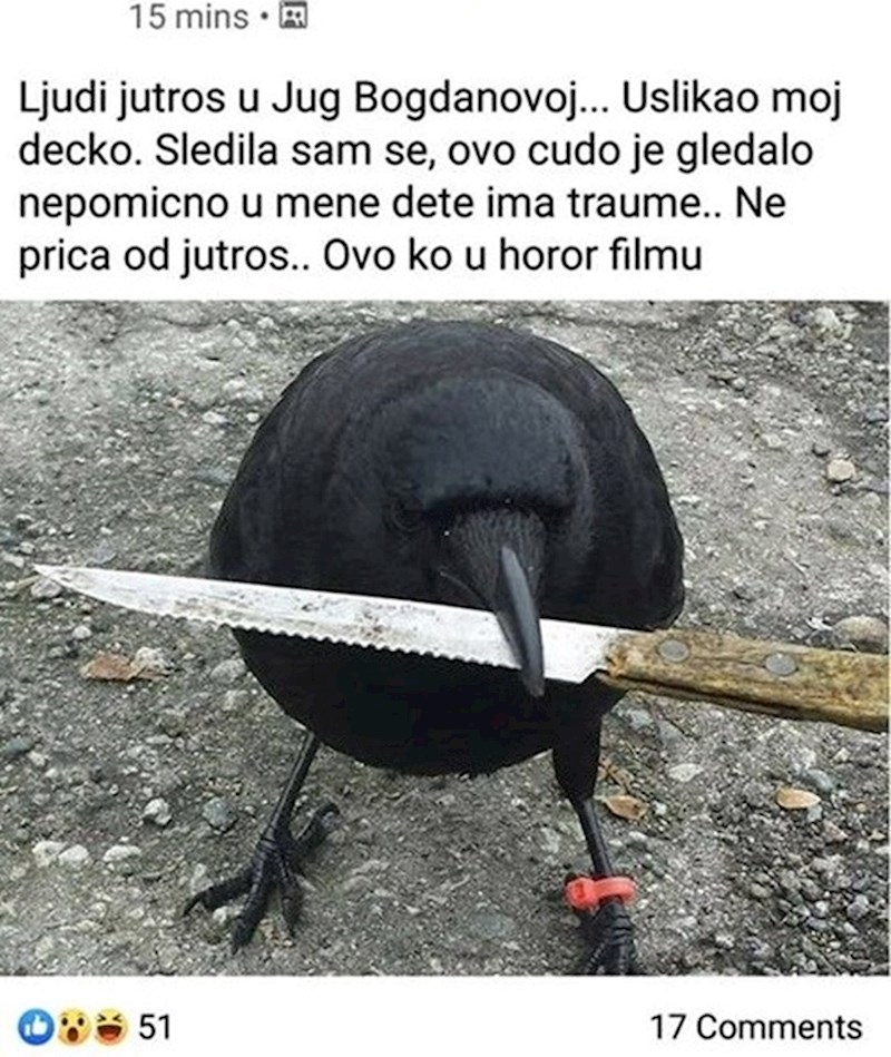 Pogledajte kako je to izgledalo: