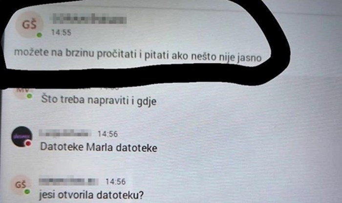 Kako je izgledala online nastava: Profesor je pitao je li sve jasno, evo što su mu odgovorili