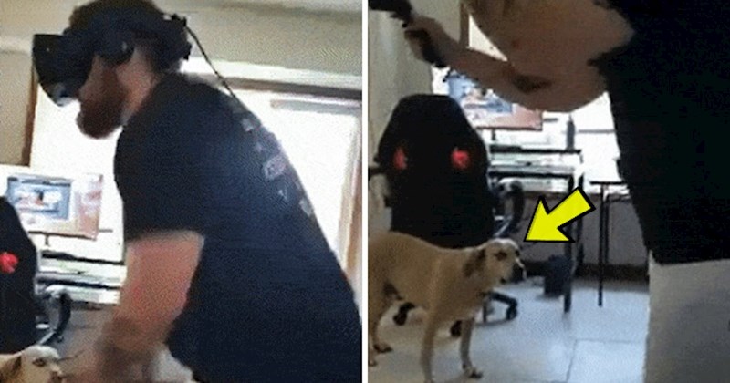 Nasmijat će vas reakcija psa koji je gledao vlasnika kako igra igricu u virtualnoj stvarnosti