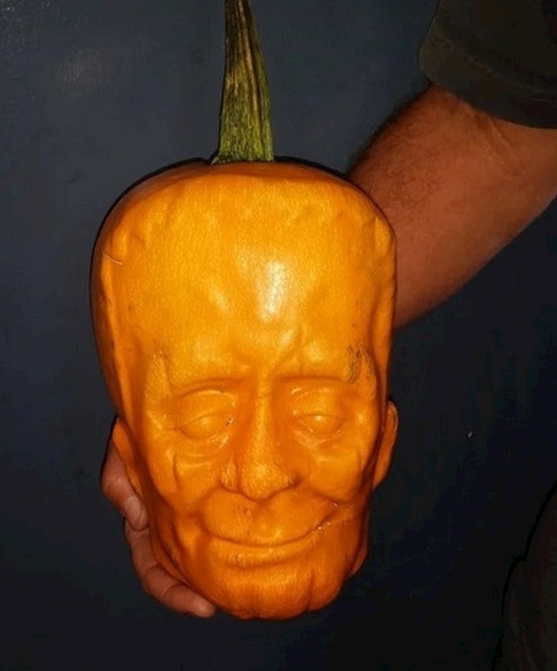 Evo što se dogodi kad bundeva raste u plastičnom kalupu.