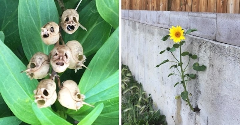 12 sretnika koji su uspjeli slikati nešto što se ne vidi često