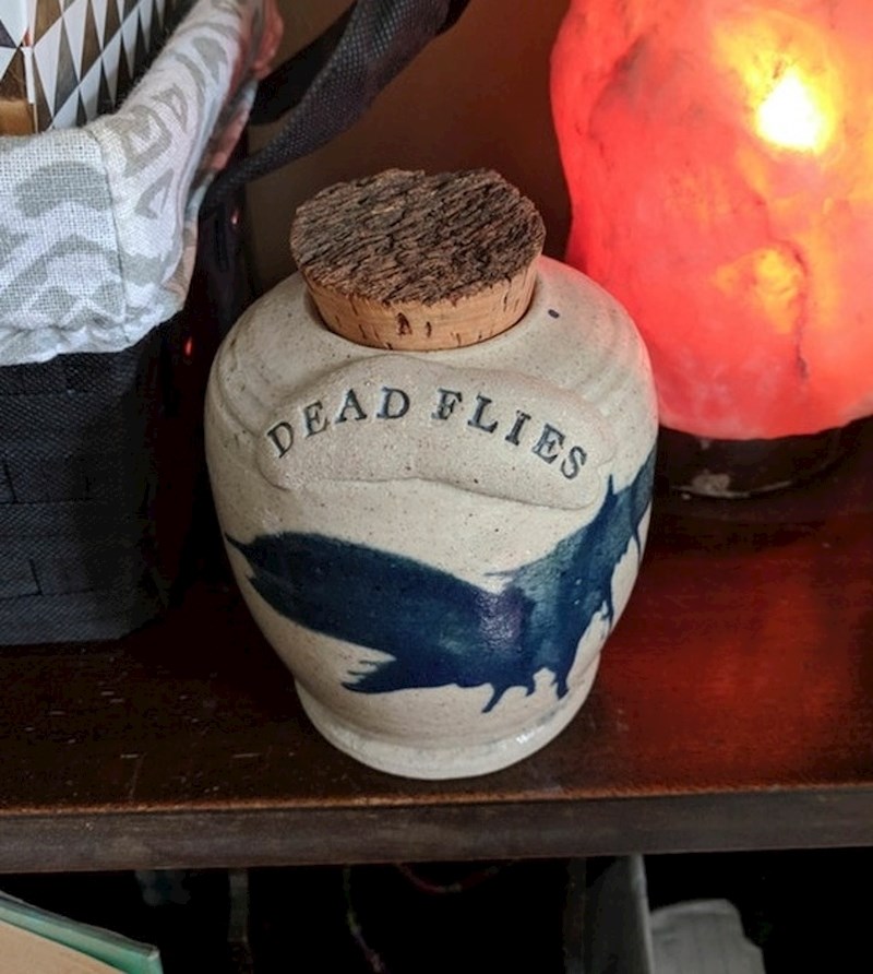 "Ovo sam danas kupio na jednoj garažnoj rasprodaji. Konačno imam spremnik za čuvanje mrtvih muha."