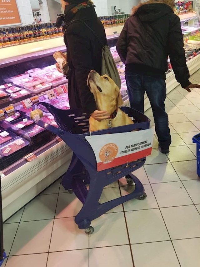 "U nekim supermarketima u Italiji imamo posebna kolica za kućne ljubimce."