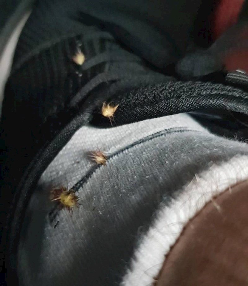 Kad vam se ovo dogodi...