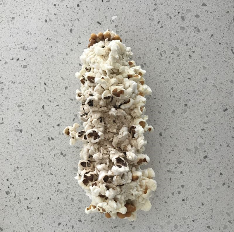 Što se dogodi kad stavite čitav klip kukuruza u mikrovalnu...