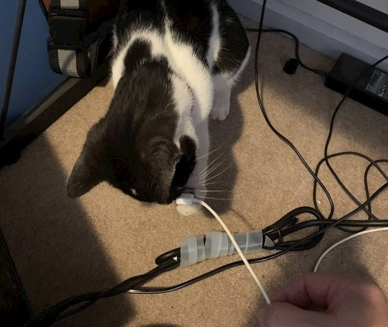 "Pokušavao sam svojoj ženi namjestiti mjesto za rad od kuće, no moja pomoćnica nije baš bila od koristi..."