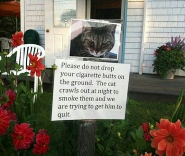 "Molimo Vas, ne bacajte opuške po podu. Naš mačak izlazi noću van kako bi ih pušio i sad ga pokušavamo odvikavati od pušenja."
