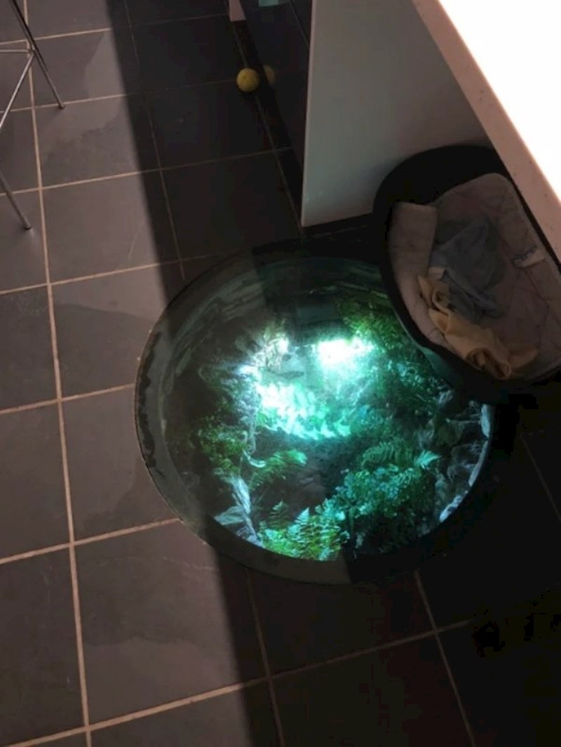 "Baka i djed u svojoj kući imaju mjesto na kojem je nekad bio bunar. Sad je prekriven debelim staklom."