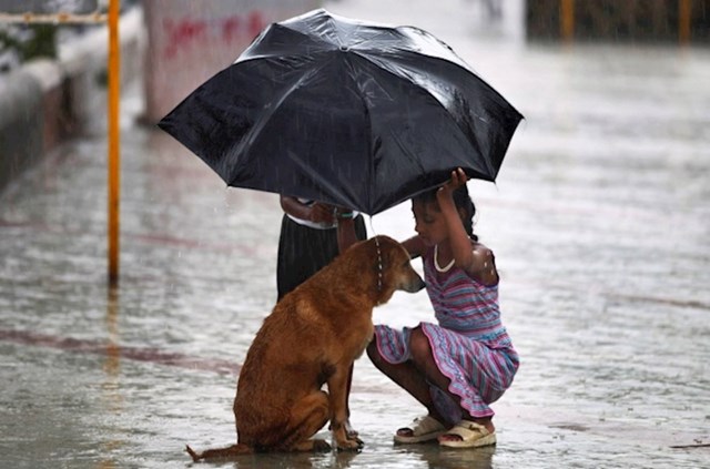 Djevojčica je kišobranom štitila uličnog psa.