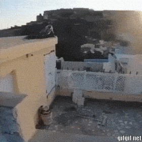 Čovjeku hrana ispala iz ruke, kad vidite majmunovu reakciju bit će vam jasno zašto ih ne smijete ljutiti