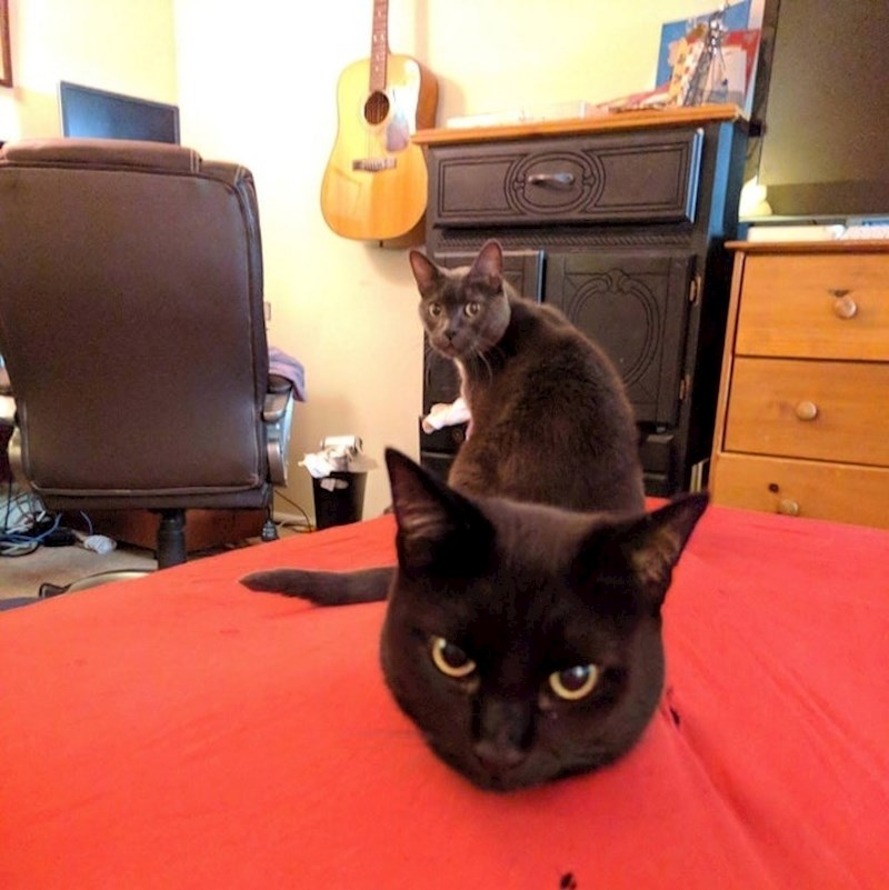 Što se ovdje događa?