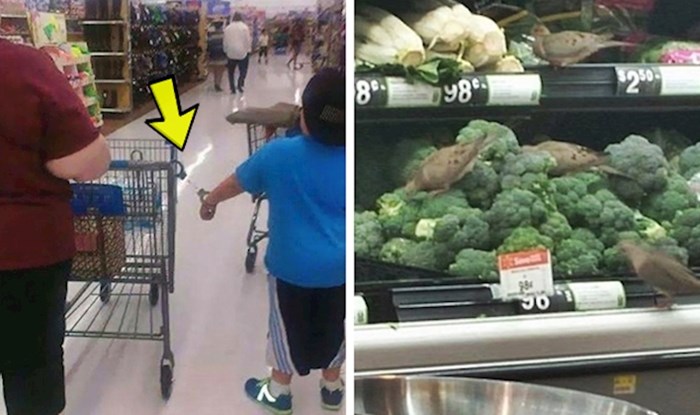 50 ljudi podijelilo je slike najčudnijih prizora koje su vidjeli u supermarketima