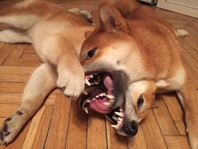 Nešto ovdje nije u redu... bar na prvi pogled.