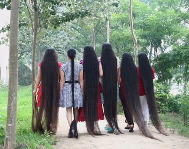 Jeste li ikad vidjeli ovoliko kose na jednoj fotki?
