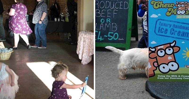 13 zanimljivih prizora koje ćete htjeti malo bolje pogledati