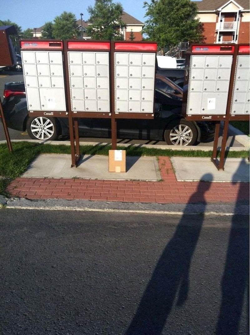 "U posljednjih nekoliko mjeseci, poštar je izgubio nekoliko naših paketa. Tvrdio je da ih je dostavio. Mislim da sam otkrio što se zapravo dogodilo..."