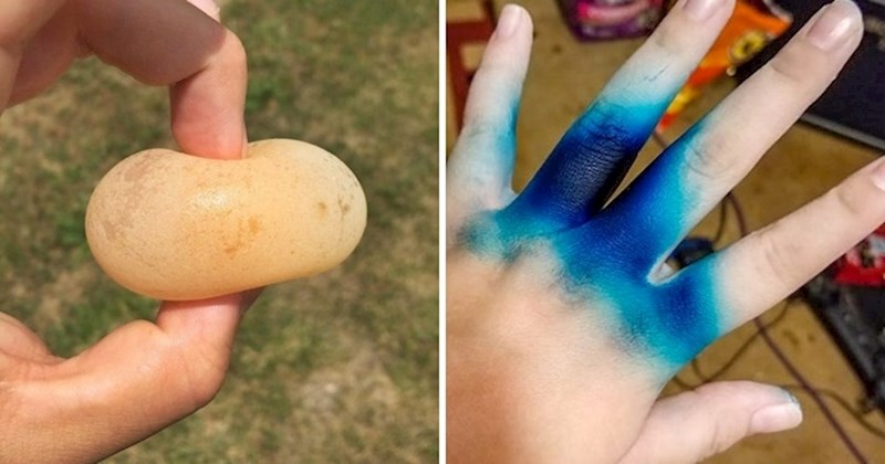 Ljudi su podijelili zanimljive slike najrjeđih prizora koje su ikad vidjeli