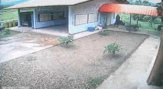 Najnesposobniji provalnik na svijetu pokušao je provaliti u garažu kroz prozor, kasnije je shvatio koliki je smotan