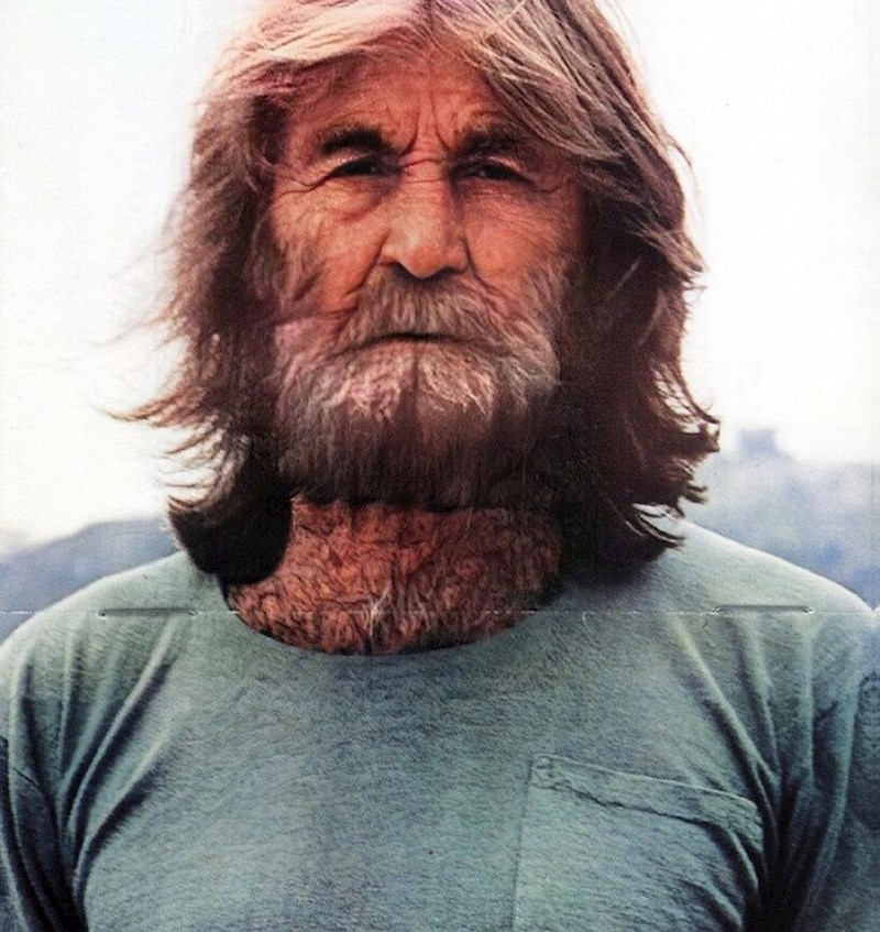 4. Dennis Wilson (1944.-1983.)