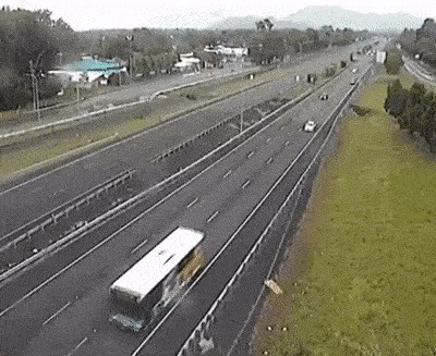 Na web kameri se pojavio neočekivani gost i zabavio ljude koje je zanimalo stanje na cestama