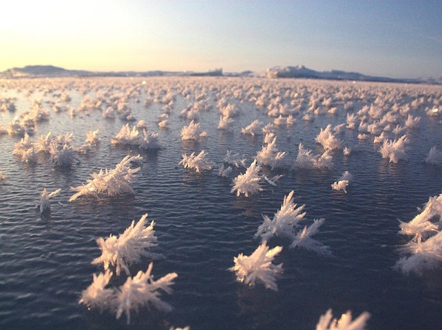 Ledeni cvjetići se pojavljuju na površini vode kada je zrak jako hladan i suh.