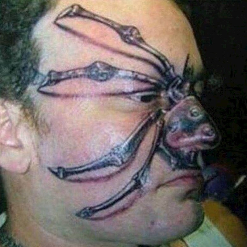 Mrzitelji pauka bi ga mogli početi udarati papučom po licu...