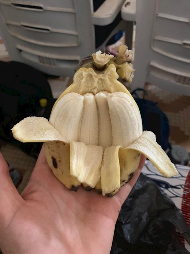 "Ove mini banane su bile spojene, nikad nisam vidio ovako nešto!"