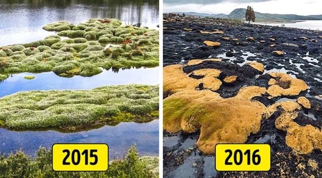 7 popularnih turističkih lokacija koje je svijet izgubio u posljednjih nekoliko godina jezero mackenzie, tasmanija, australija