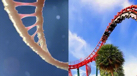 Ove stvari nemaju veze jedna s drugom, no savršeno se nadopunjuju kad ih spojite