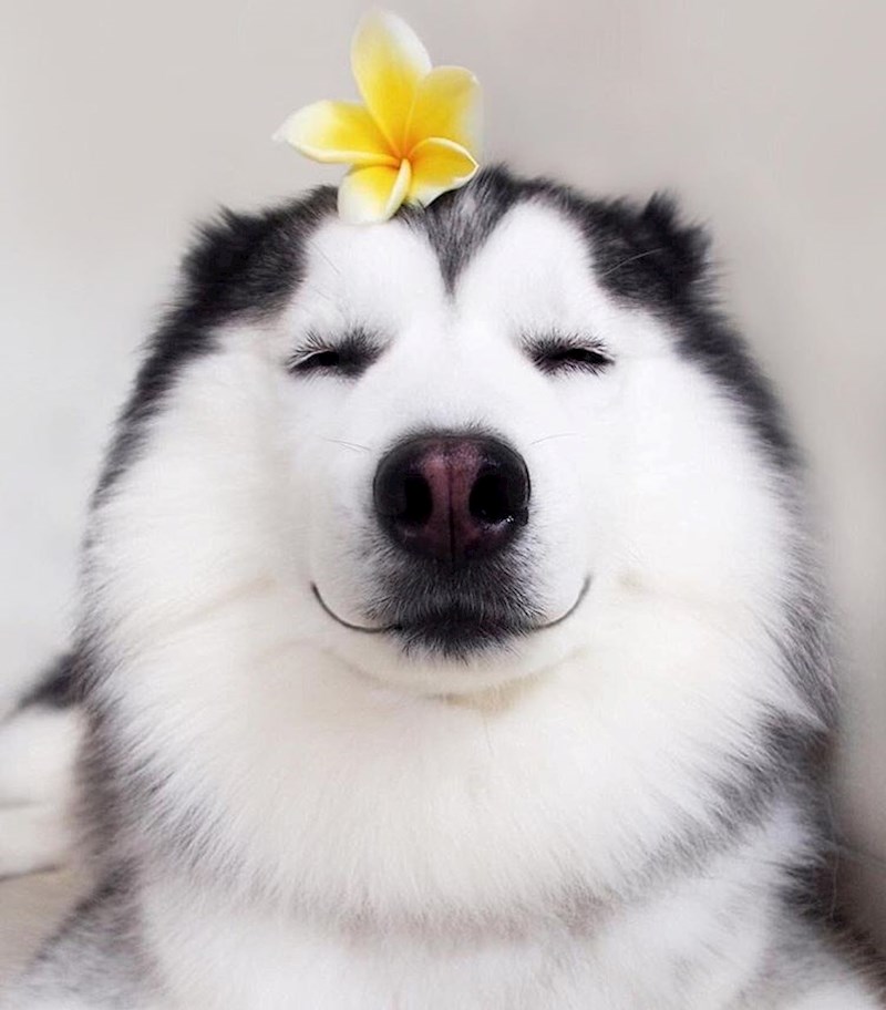 Kad bi opuštanje trebali opisati jednom fotkom, ovo bi bio savršen primjer.