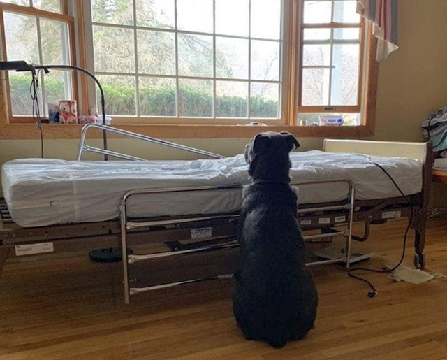 Njegov vlasnik je umro, no pas ga još uvijek čeka pored kreveta.