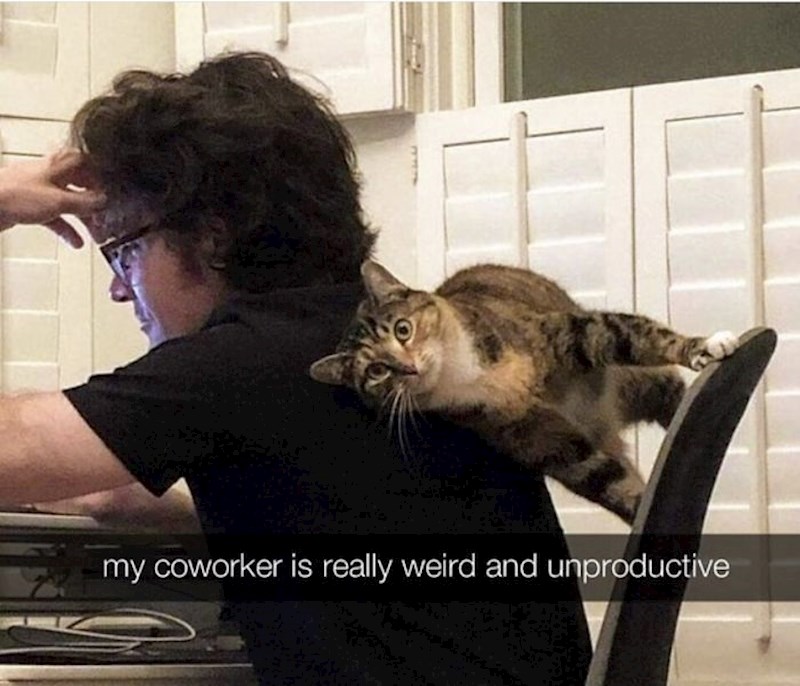 "Moj kolega s posla je jako čudan i neproduktivan."