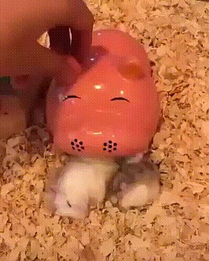 Njenim ljubimcima se novo mjesto za spavanje jako svidjelo, morala je provjeriti jesu li još živi