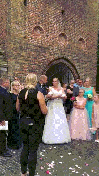 Novopečeni bračni par je nakon strastvenog poljupca pustio golubove, no jedan od njih je štrajkao