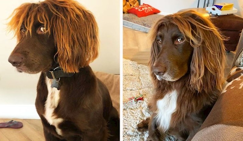 A što kažete na ovu frizuru? 😄